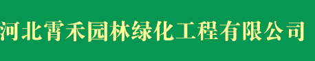 河北霄禾园林绿化工程有限公司