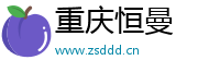 重庆恒曼网络信息咨询有限公司